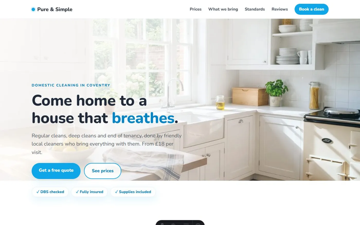 Pure & Simple Cleaning Co., a sample cleaning company website we designed